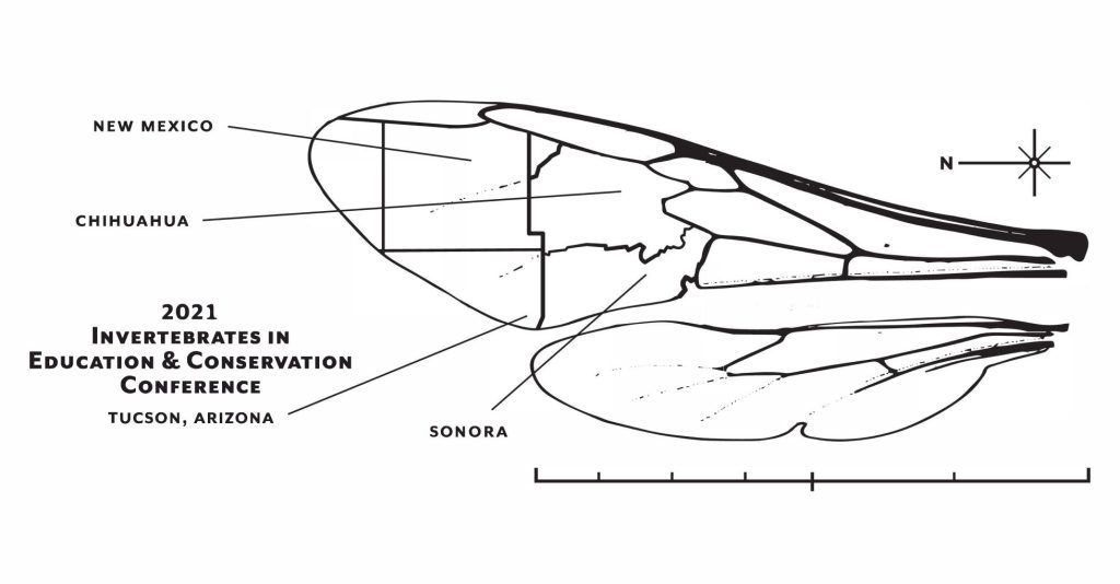 A hymenoptera wing labeled with locations in Arizona; text is 2021 Invertebrates in Education and Conservation Conference, Tucson, AZ
