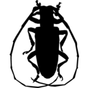outline of a long-horn beetle